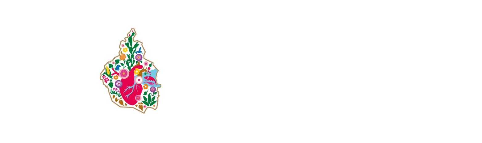 Logo CDMX Transformación